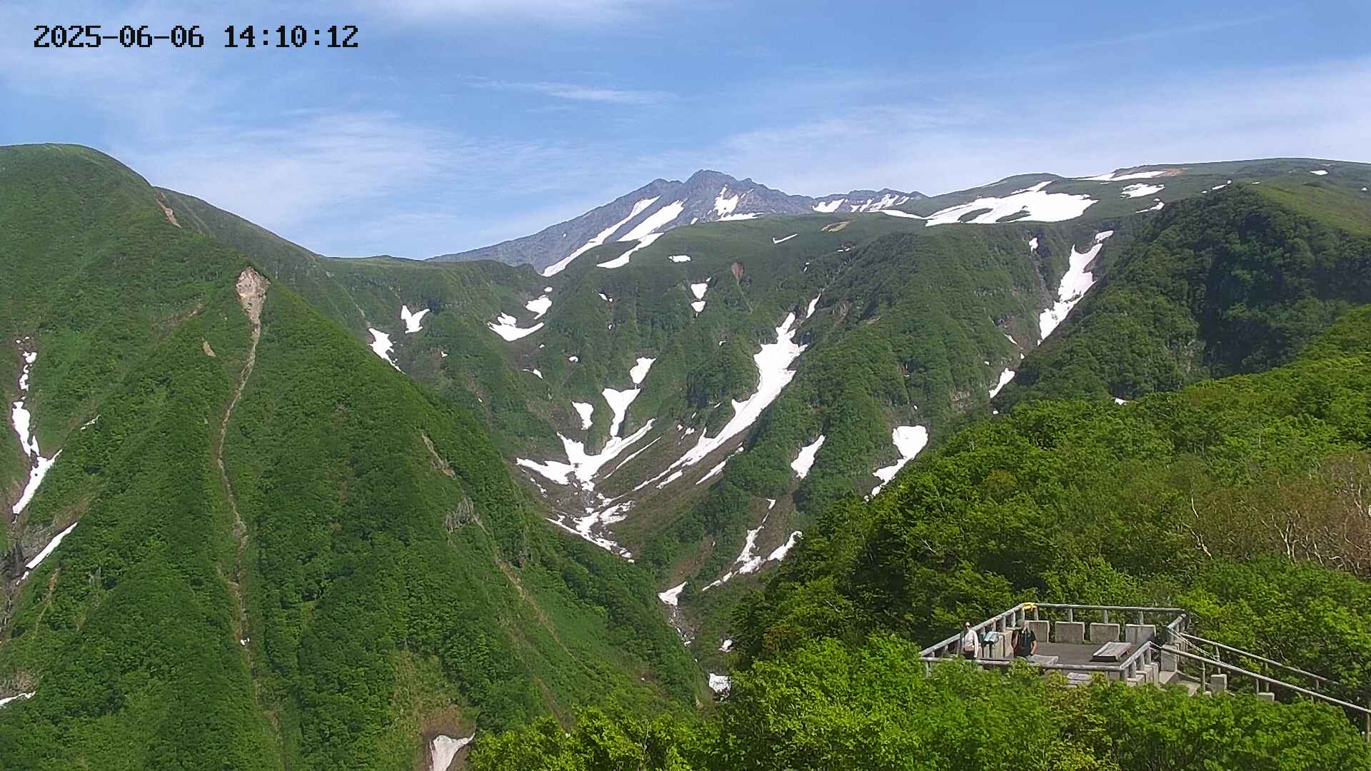 zenkei20250606141013.jpg