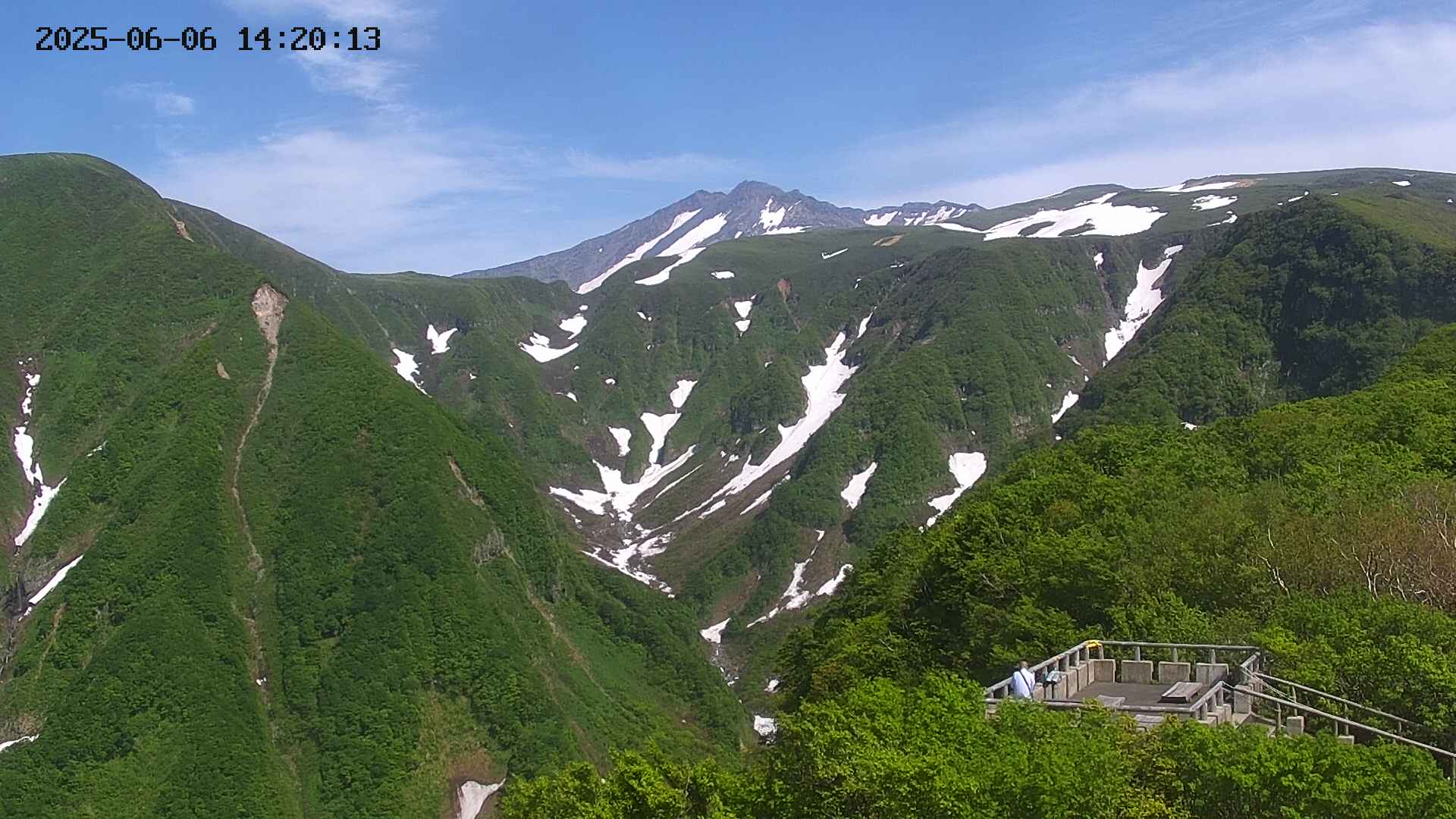 zenkei20250606142014.jpg
