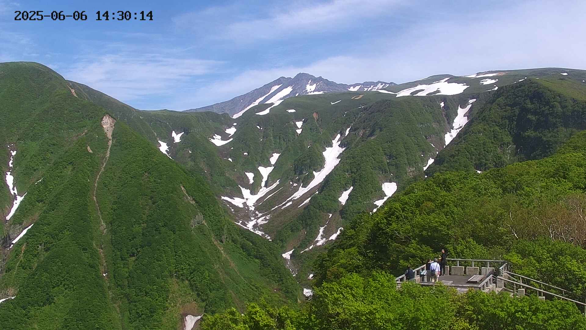 zenkei20250606143015.jpg