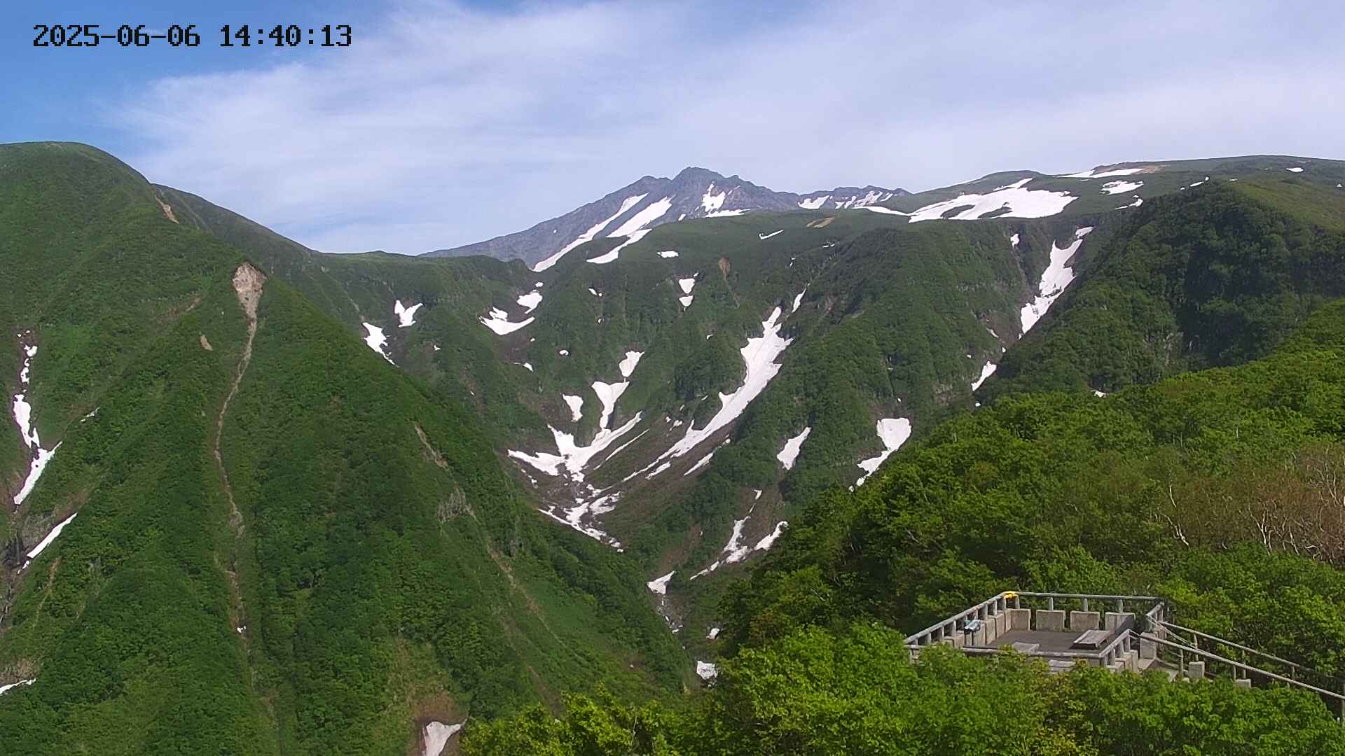zenkei20250606144014.jpg