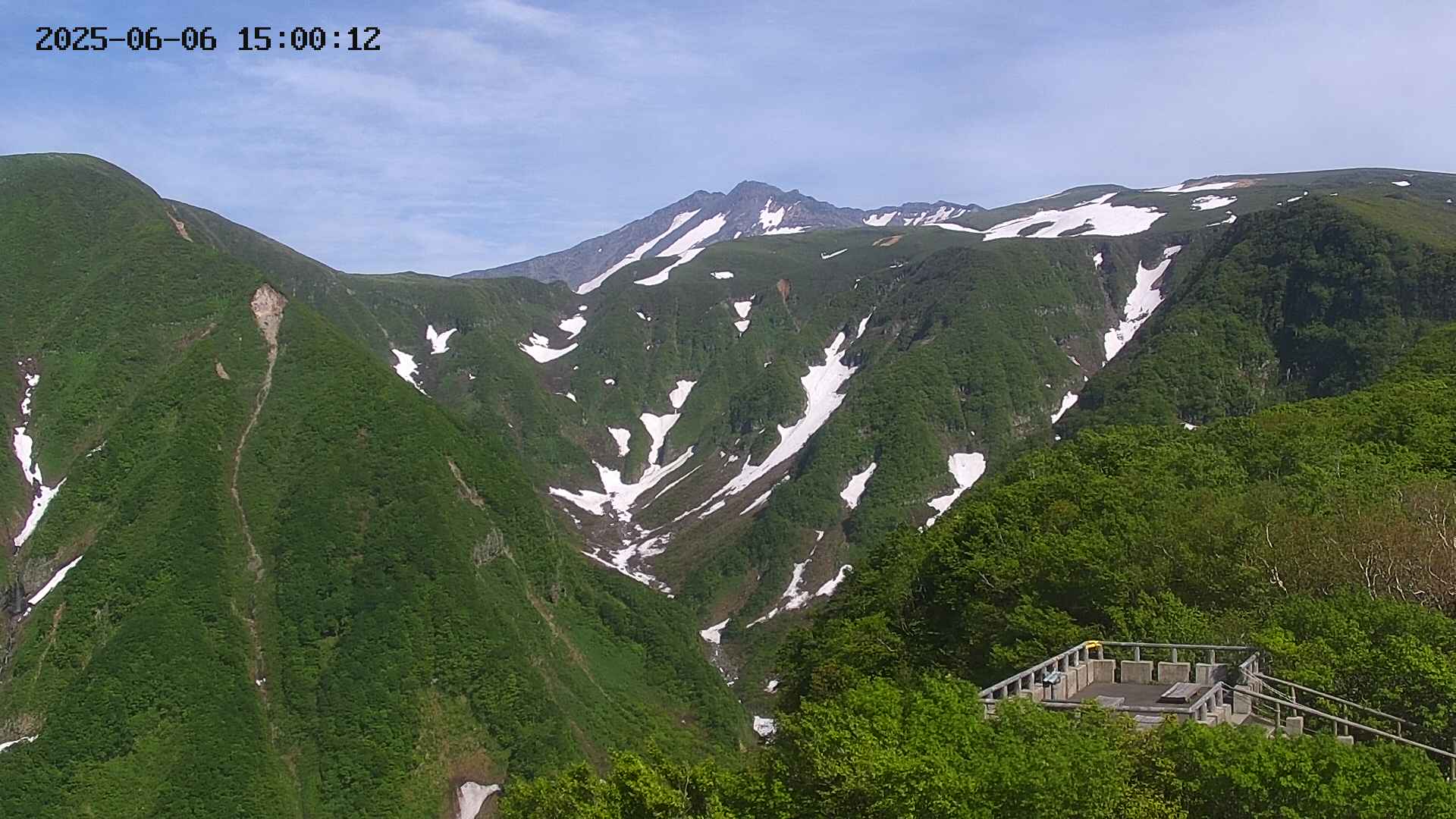 zenkei20250606150013.jpg