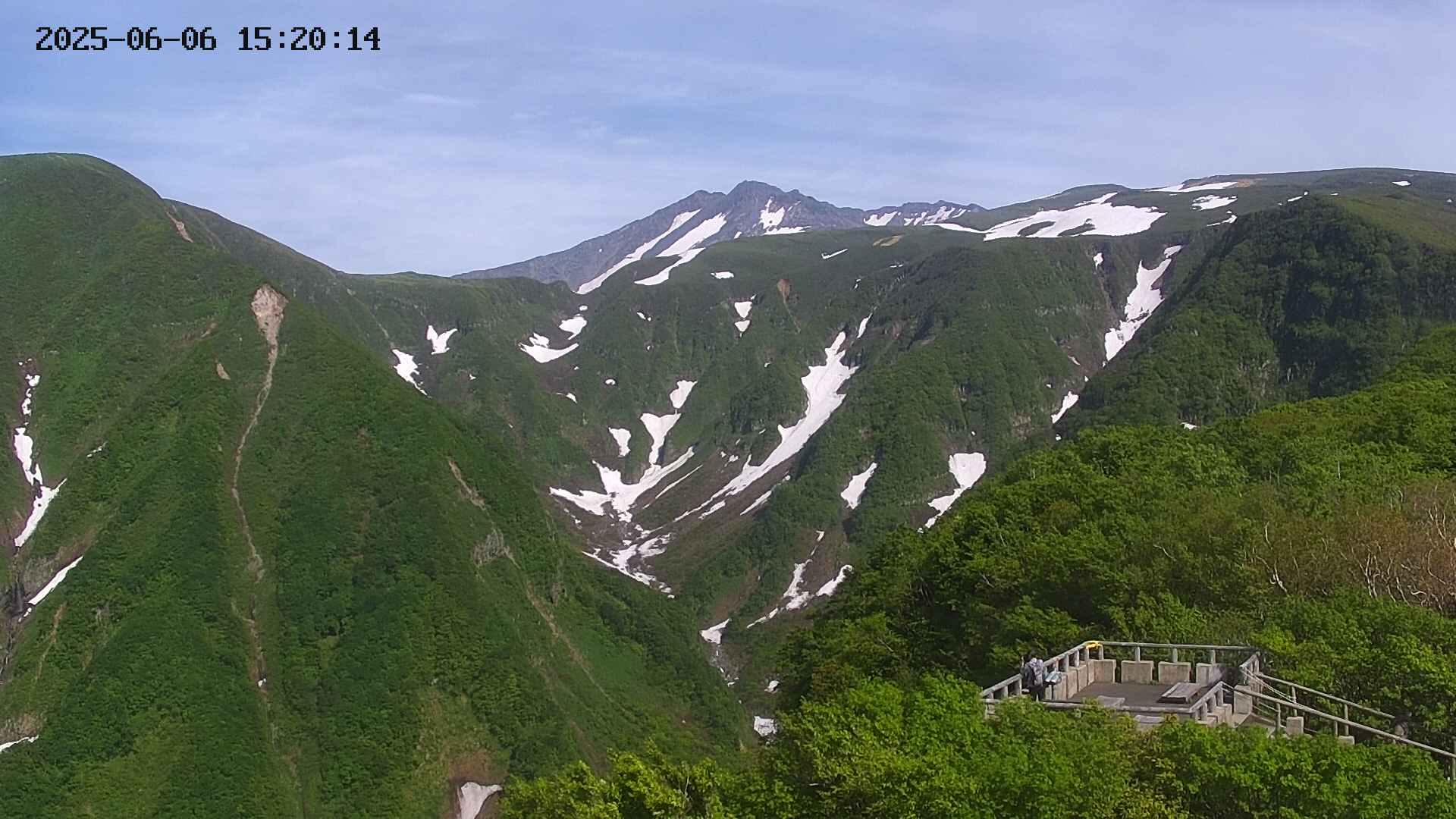 zenkei20250606152014.jpg
