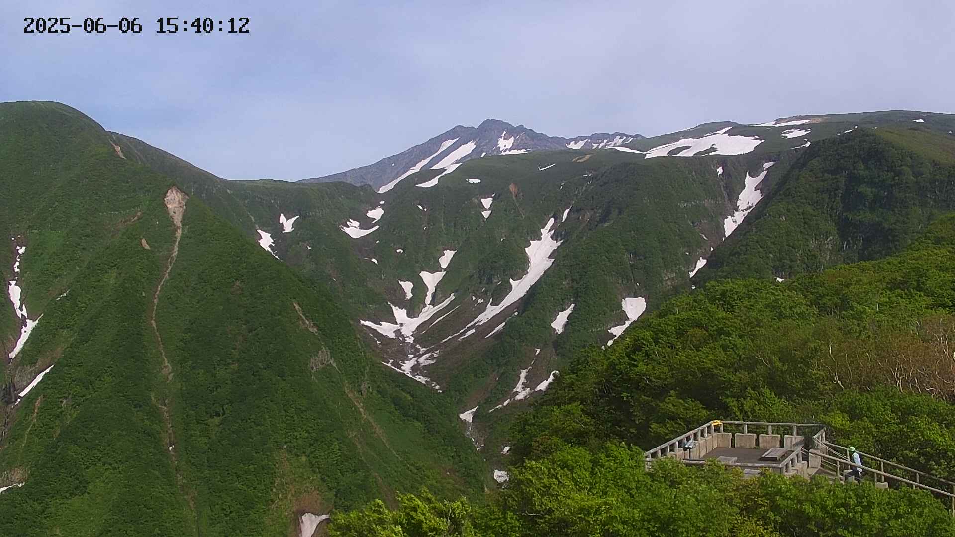 zenkei20250606154012.jpg