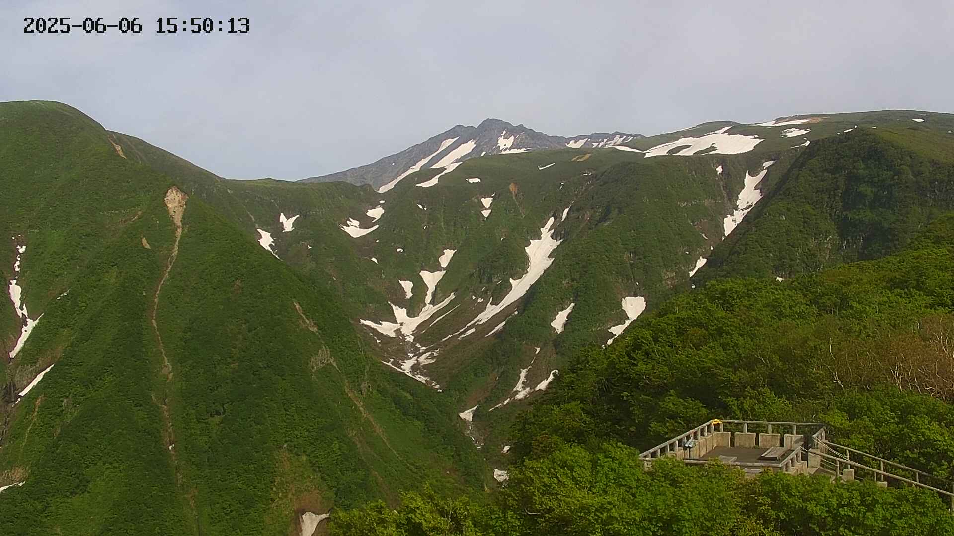 zenkei20250606155013.jpg