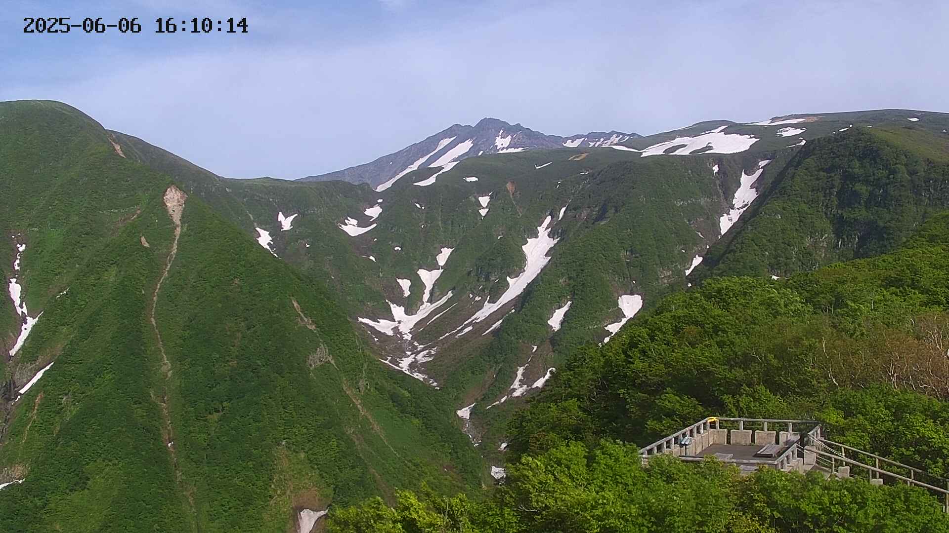 zenkei20250606161014.jpg
