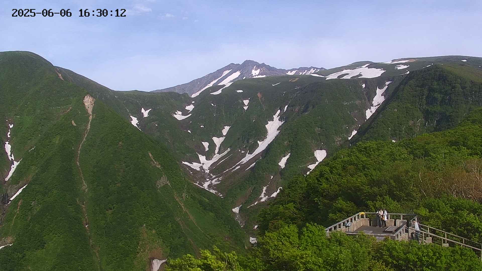 zenkei20250606163012.jpg