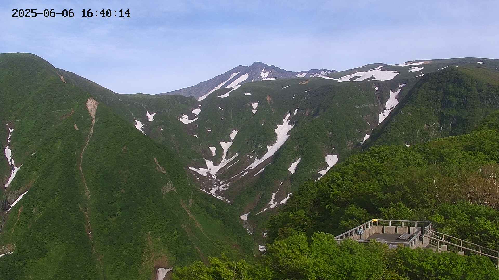 zenkei20250606164014.jpg