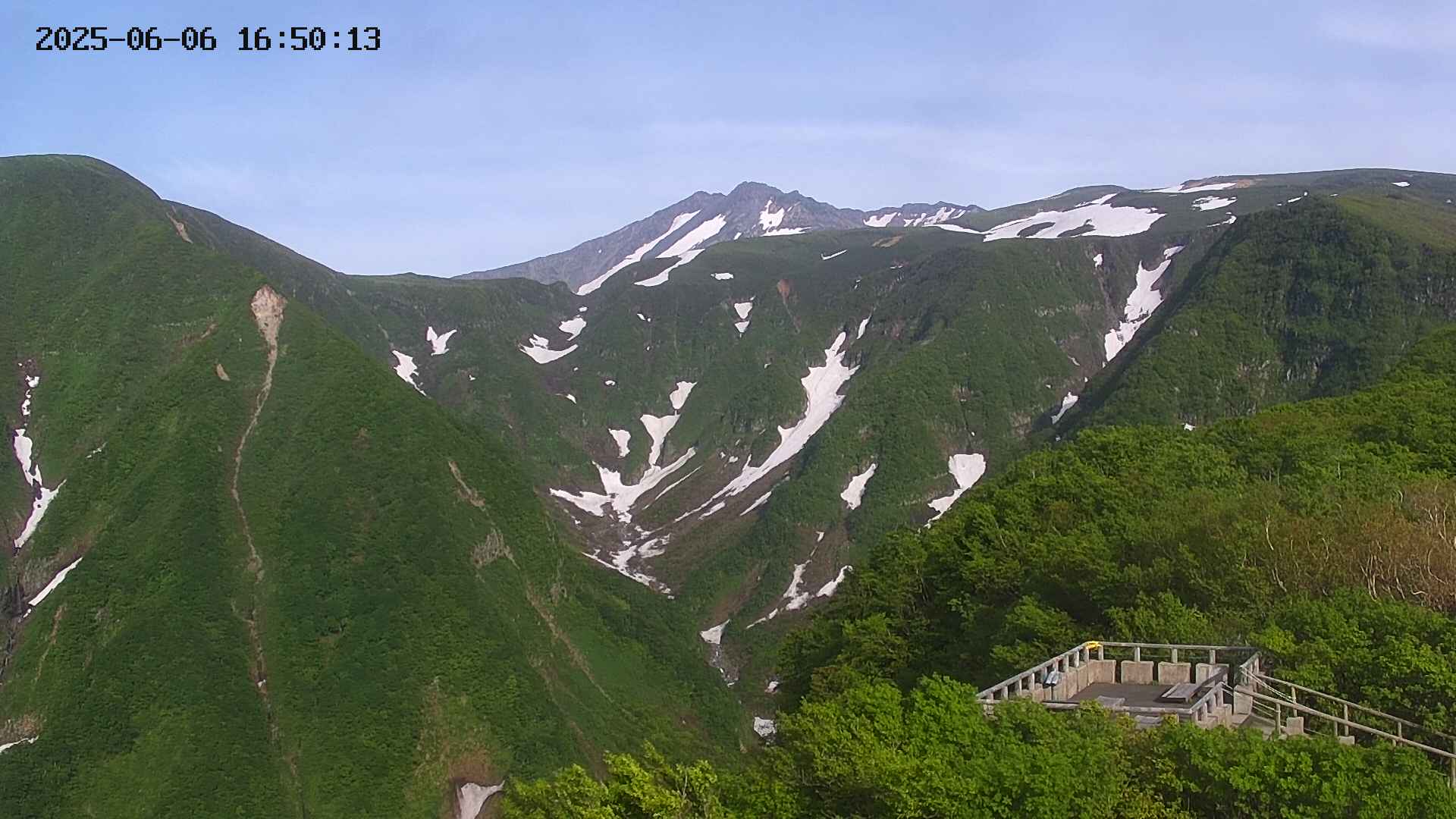 zenkei20250606165013.jpg