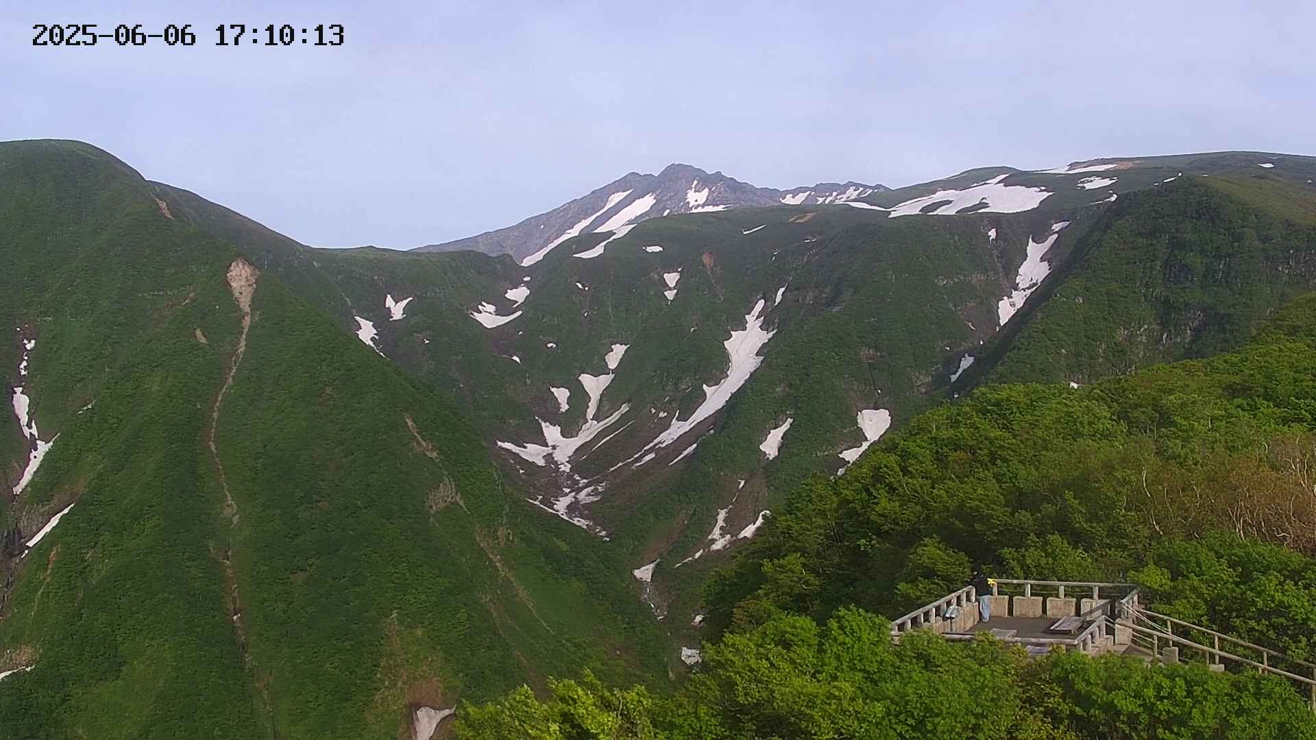 zenkei20250606171014.jpg
