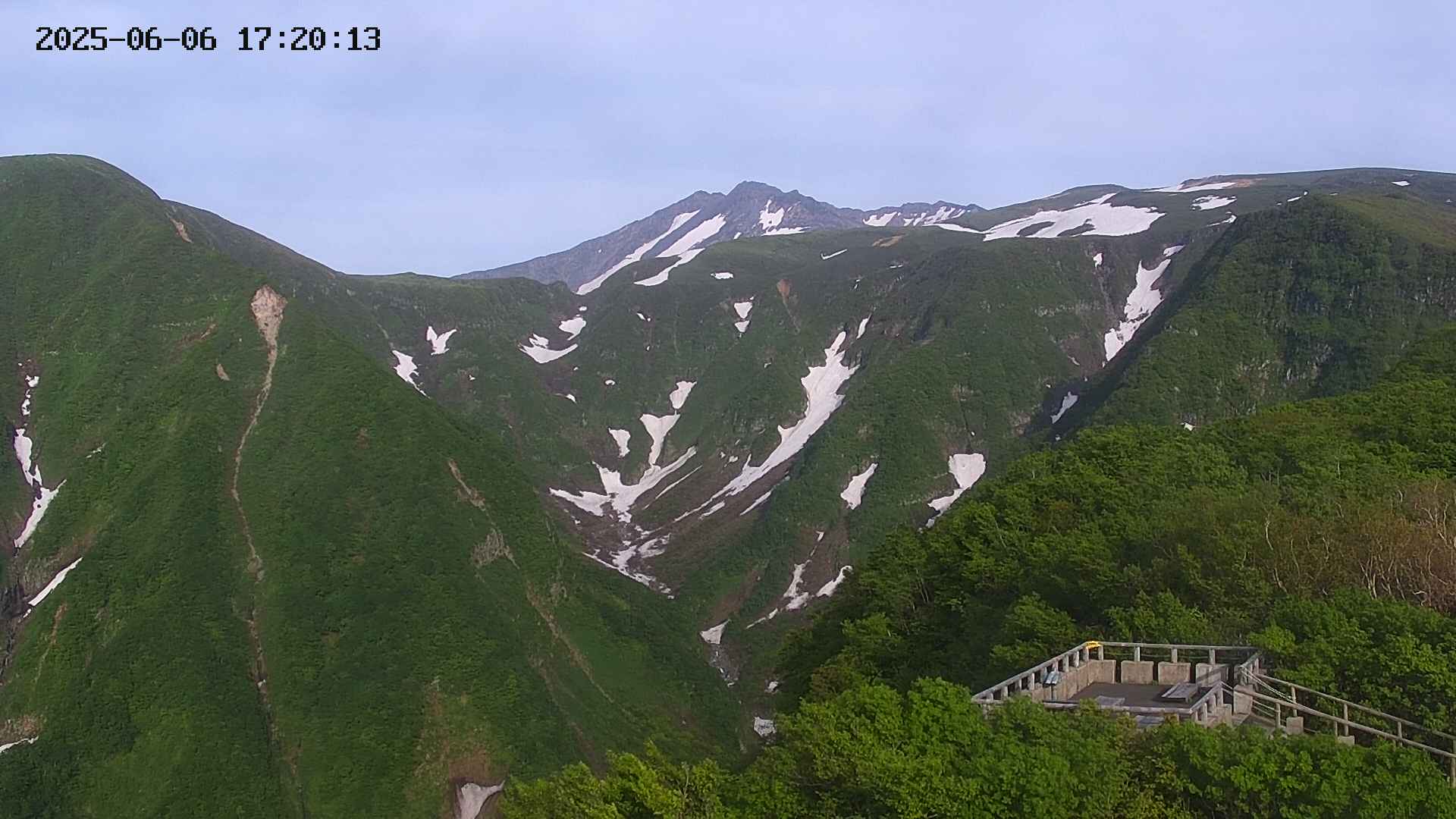 zenkei20250606172013.jpg