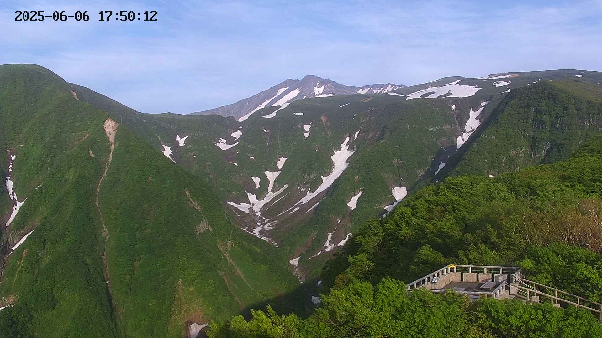 zenkei20250606175013.jpg