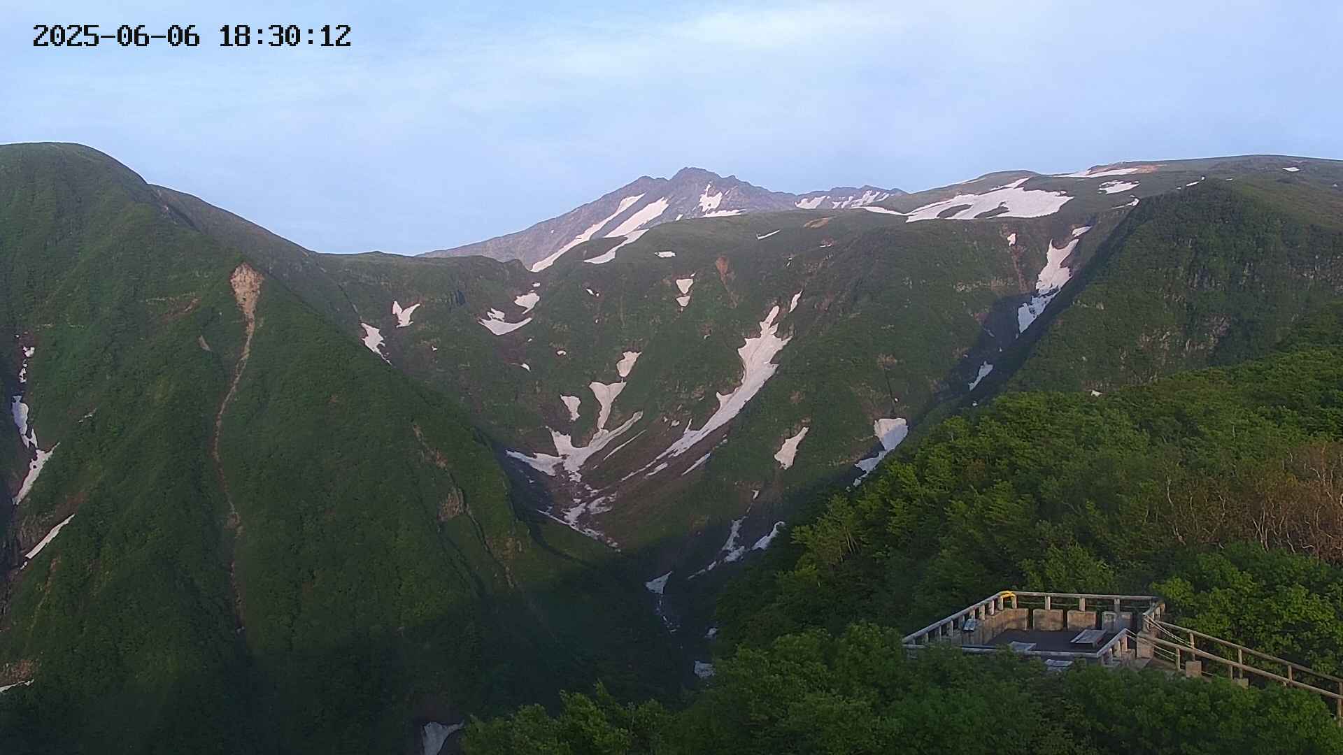 zenkei20250606183013.jpg