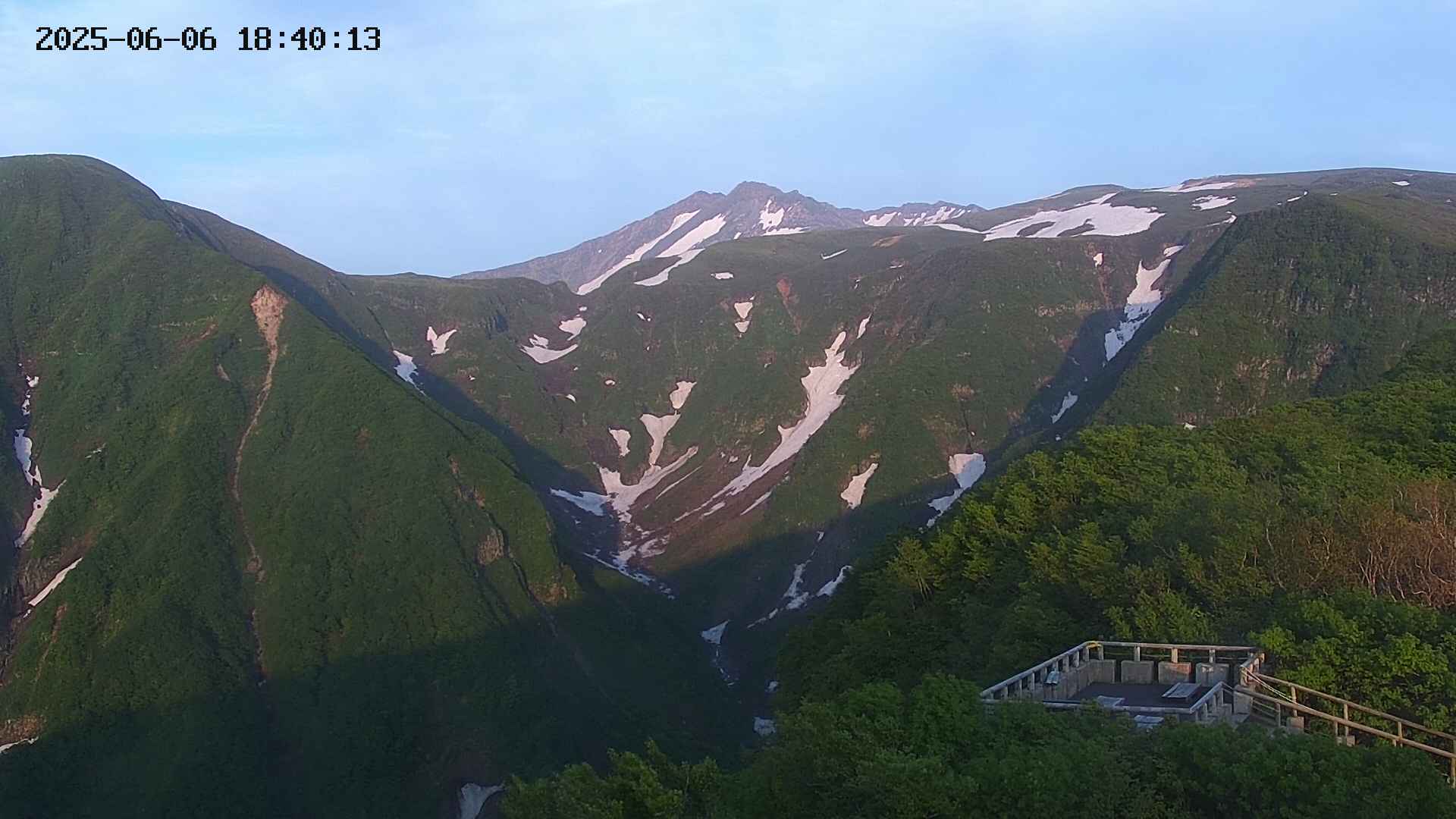zenkei20250606184013.jpg