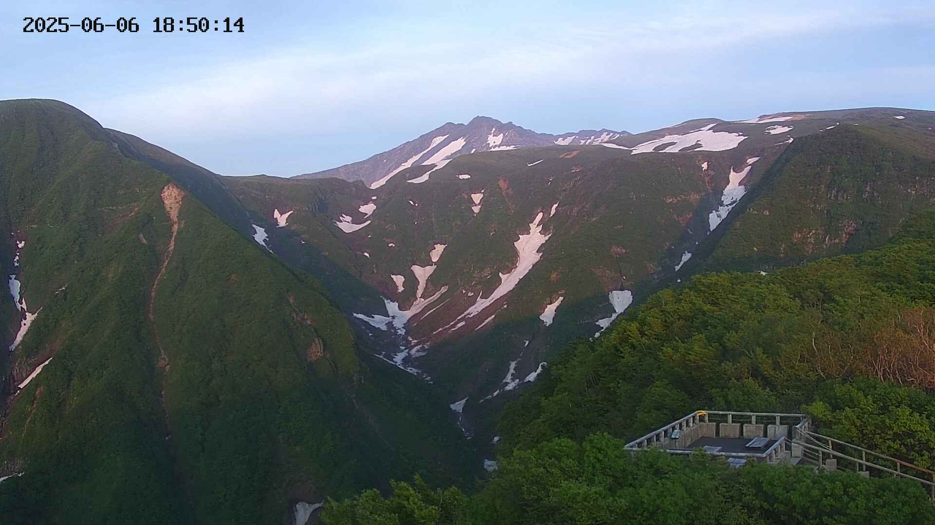 zenkei20250606185014.jpg